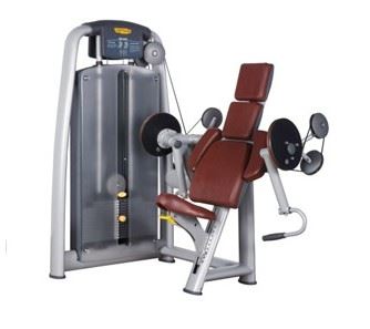 DS-A092 Arm curl חברת ציוד ספורט | חברות ציוד ספורט - Dor Sport